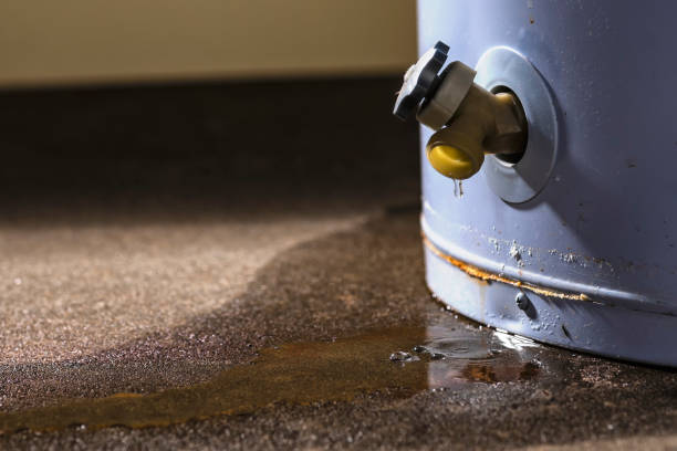 Best 24-hour water damage restoration  in Gregory, SD