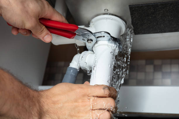 Best Professional water damage repair  in Gregory, SD