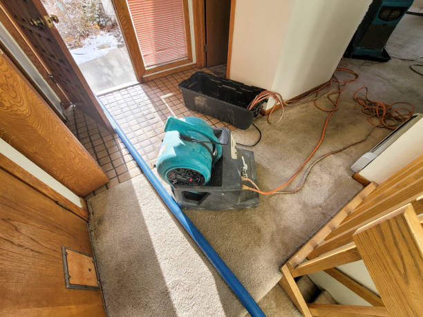 Best Flood damage cleanup  in Gregory, SD