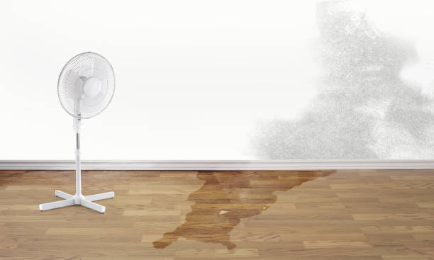 Best 24/7 water damage repair  in Gregory, SD