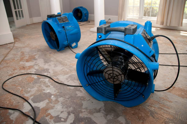 Reliable SD Water damage restoration Solutions