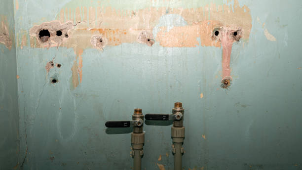 Best Flood restoration services  in Gregory, SD