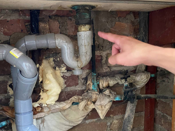 Best Fire Damage Restoration  in Gregory, SD