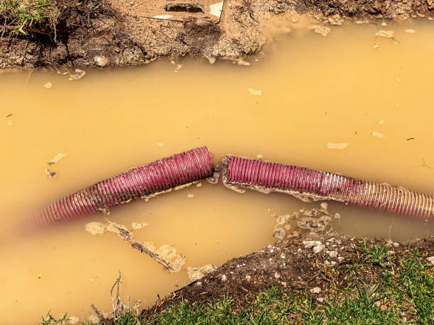 Local water damage restoration in SD